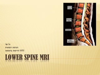 LOWER SPINE MRI
‫שי‬ ‫גל‬
‫רפואית‬ ‫הנדסה‬
MRI‫ברפואה‬ ‫לדימות‬
 