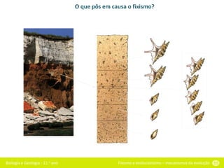 Biologia e Geologia - 11.o ano Fixismo e evolucionismo – mecanismos da evolução 55
O que pôs em causa o fixismo?
 