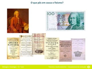 Biologia e Geologia - 11.o ano Fixismo e evolucionismo – mecanismos da evolução 55
O que pôs em causa o fixismo?
 