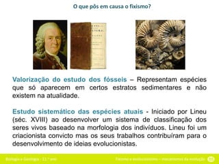 Biologia e Geologia - 11.o ano Fixismo e evolucionismo – mecanismos da evolução 55
Valorização do estudo dos fósseis – Representam espécies
que só aparecem em certos estratos sedimentares e não
existem na atualidade.
Estudo sistemático das espécies atuais - Iniciado por Lineu
(séc. XVIII) ao desenvolver um sistema de classificação dos
seres vivos baseado na morfologia dos indivíduos. Lineu foi um
criacionista convicto mas os seus trabalhos contribuíram para o
desenvolvimento de ideias evolucionistas.
O que pôs em causa o fixismo?
 