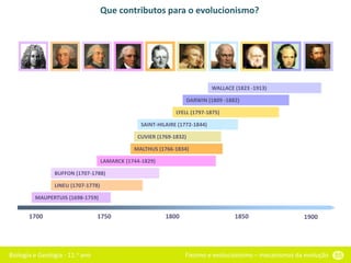 Biologia e Geologia - 11.o ano Fixismo e evolucionismo – mecanismos da evolução 55
Que contributos para o evolucionismo?
1700 1750 1800 1850 1900
MAUPERTUIS (1698-1759)
LINEU (1707-1778)
BUFFON (1707-1788)
LAMARCK (1744-1829)
MALTHUS (1766-1834)
CUVIER (1769-1832)
SAINT-HILAIRE (1772-1844)
LYELL (1797-1875)
DARWIN (1809 -1882)
WALLACE (1823 -1913)
 