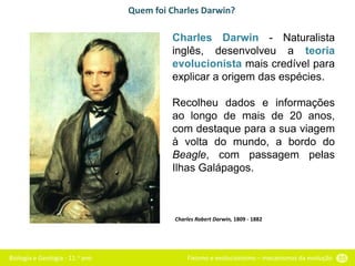 Biologia e Geologia - 11.o ano Fixismo e evolucionismo – mecanismos da evolução 55
Quem foi Charles Darwin?
Charles Darwin - Naturalista
inglês, desenvolveu a teoria
evolucionista mais credível para
explicar a origem das espécies.
Recolheu dados e informações
ao longo de mais de 20 anos,
com destaque para a sua viagem
à volta do mundo, a bordo do
Beagle, com passagem pelas
Ilhas Galápagos.
Charles Robert Darwin, 1809 - 1882
 