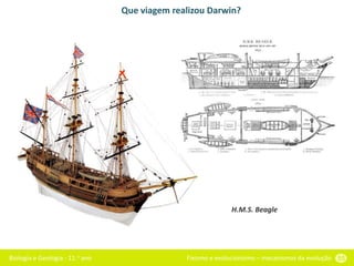 Biologia e Geologia - 11.o ano Fixismo e evolucionismo – mecanismos da evolução 55
Que viagem realizou Darwin?
H.M.S. Beagle
 