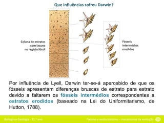 Biologia e Geologia - 11.o ano Fixismo e evolucionismo – mecanismos da evolução 55
Que influências sofreu Darwin?
Por influência de Lyell, Darwin ter-se-á apercebido de que os
fósseis apresentam diferenças bruscas de estrato para estrato
devido a faltarem os fósseis intermédios correspondentes a
estratos erodidos (baseado na Lei do Uniformitarismo, de
Hutton, 1788).
Fósseis
intermédios
erodidos
Coluna de estratos
com lacuna
no registo fóssil
 
