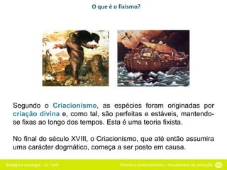 Biologia e Geologia - 11.o ano Fixismo e evolucionismo – mecanismos da evolução 55
Segundo o Criacionismo, as espécies foram originadas por
criação divina e, como tal, são perfeitas e estáveis, mantendo-
se fixas ao longo dos tempos. Esta é uma teoria fixista.
No final do século XVIII, o Criacionismo, que até então assumira
uma carácter dogmático, começa a ser posto em causa.
O que é o fixismo?
 