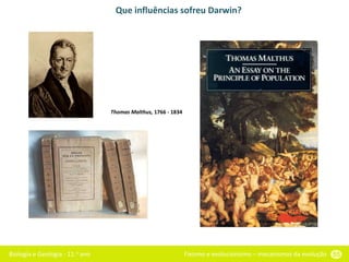 Biologia e Geologia - 11.o ano Fixismo e evolucionismo – mecanismos da evolução 55
Que influências sofreu Darwin?
Thomas Malthus, 1766 - 1834
 