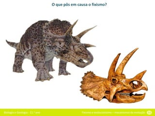 Biologia e Geologia - 11.o ano Fixismo e evolucionismo – mecanismos da evolução 55
O que pôs em causa o fixismo?
 