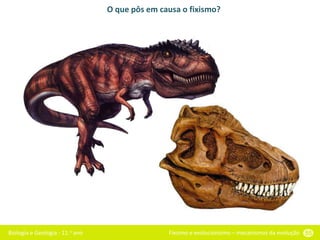 Biologia e Geologia - 11.o ano Fixismo e evolucionismo – mecanismos da evolução 55
O que pôs em causa o fixismo?
 