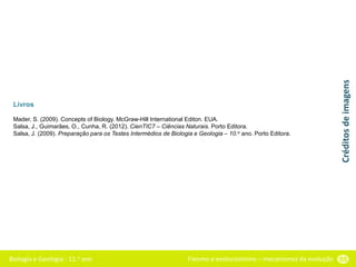Biologia e Geologia - 11.o ano Fixismo e evolucionismo – mecanismos da evolução 55
Livros
Mader, S. (2009). Concepts of Biology. McGraw-Hill International Editon. EUA.
Salsa, J., Guimarães, O., Cunha, R. (2012). CienTIC7 – Ciências Naturais. Porto Editora.
Salsa, J. (2009). Preparação para os Testes Intermédios de Biologia e Geologia – 10.o ano. Porto Editora.
Créditos
de
imagens
 