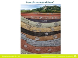 Biologia e Geologia - 11.o ano Fixismo e evolucionismo – mecanismos da evolução 55
O que pôs em causa o fixismo?
 