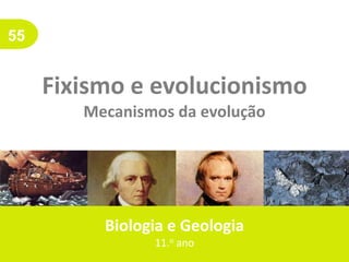 55
Fixismo e evolucionismo
Mecanismos da evolução
Biologia e Geologia
11.o ano
 