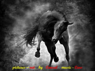 pictures – net. by Consul music - Cars
 