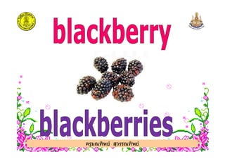 ครูมณทิพย สุวรรณทิพย
 