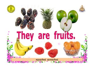 ครูมณทิพย สุวรรณทิพย
 