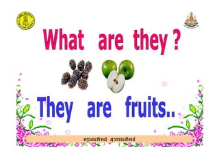 ครูมณทิพย สุวรรณทิพย
 