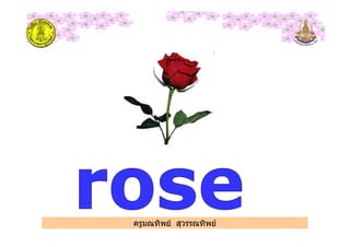 ครูมณทิพย สุวรรณทิพย
 