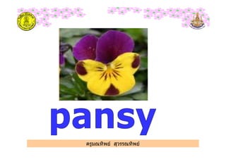 ครูมณทิพย สุวรรณทิพย
 