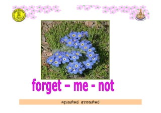 ครูมณทิพย สุวรรณทิพย
 