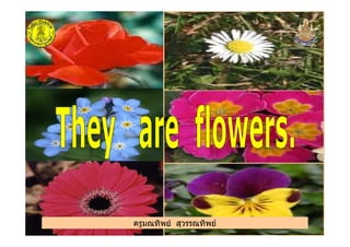 ครูมณทิพย สุวรรณทิพย
 