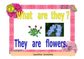 ครูมณทิพย สุวรรณทิพย
ครูมณทิพย สุวรรณทิพย
 