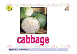 ครูมณทิพย สุวรรณทิพย
 