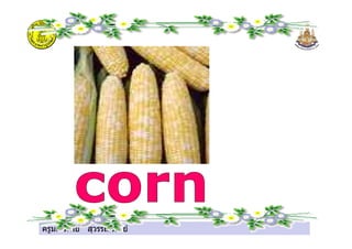 ครูมณทิพย สุวรรณทิพย
 