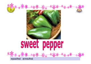 ครูมณทิพย สุวรรณทิพย
 