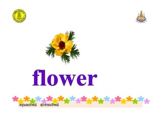 ครูมณทิพย สุวรรณทิพย
 