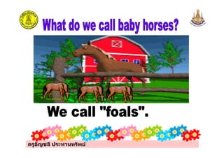 ครูอัญชลี ประทานทรัพย
 