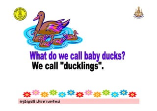 ครูอัญชลี ประทานทรัพย
 