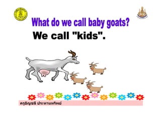 ครูอัญชลี ประทานทรัพย
 