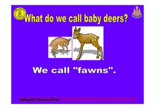 ครูอัญชลี ประทานทรัพย
 