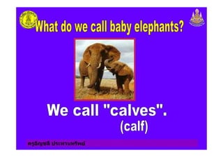 ครูอัญชลี ประทานทรัพย
 