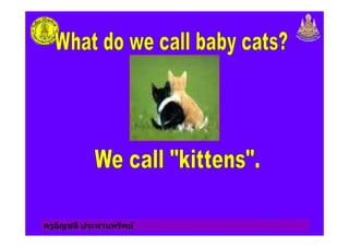 ครูอัญชลี ประทานทรัพย
 