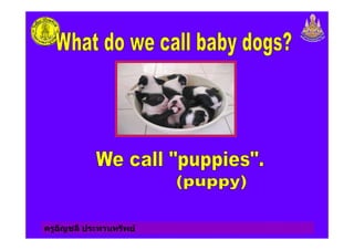 ครูอัญชลี ประทานทรัพย
 