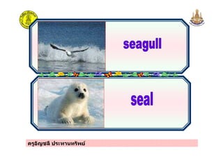 ครูอัญชลี ประทานทรัพย
 