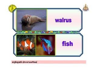 ครูอัญชลี ประทานทรัพย
 