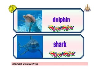 ครูอัญชลี ประทานทรัพย
 