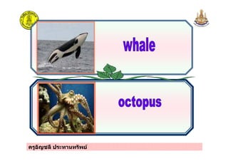 ครูอัญชลี ประทานทรัพย
 