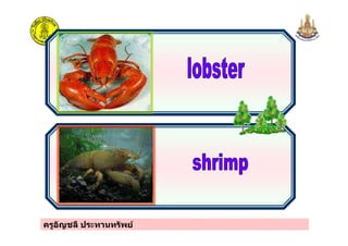 ครูอัญชลี ประทานทรัพย
 