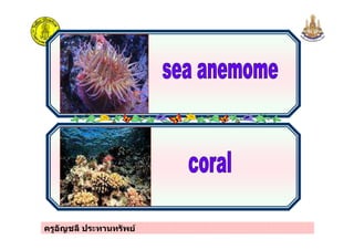 ครูอัญชลี ประทานทรัพย
 