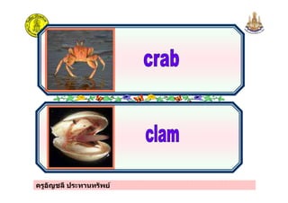 ครูอัญชลี ประทานทรัพย
 
