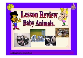 ครูอัญชลี ประทานทรัพย
 