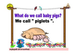 ครูอัญชลี ประทานทรัพย
 