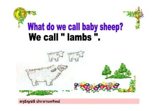 ครูอัญชลี ประทานทรัพย
 