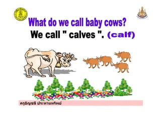 ครูอัญชลี ประทานทรัพย
 