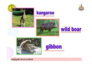 ครูอัญชลี ประทานทรัพย
 