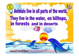 ครูอัญชลี ประทานทรัพยครูอัญชลี ประทานทรัพย
 