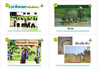 2.2อาชีพเกษตรเครืองมือทํานา
ครูวิภา แจ่มฤทธิครูวิภา แจ่มฤทธิ ครูวิภา แจ่มฤทธิ
คราด
ครูวิภา แจ่มฤทธิ
ไม้หาบกล้า คันหลาว
ครูวิภา แจ่มฤทธิครูวิภา แจ่มฤทธิ
เคียวเกียวข้าว
ครูวิภา แจ่มฤทธิ
 