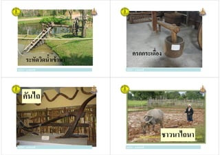 ครูวิภา แจ่มฤทธิ
ระหัดวิดนํ!าเข้านา
ครูวิภา แจ่มฤทธิ ครูวิภา แจ่มฤทธิ
ครกกระเดือง
ครูวิภา แจ่มฤทธิ
คันไถ
ครูวิภา แจ่มฤทธิครูวิภา แจ่มฤทธิ ครูวิภา แจ่มฤทธิ
ชาวนาไถนา
ครูวิภา แจ่มฤทธิ
 